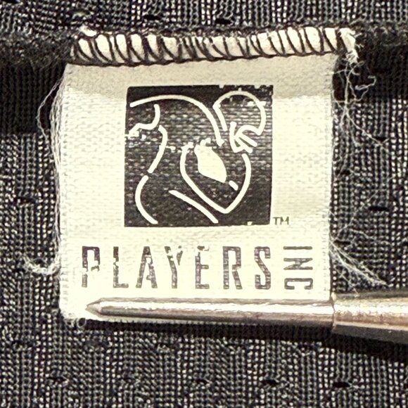 Carolina Panthers Frank Reich #14 Apex One Jersey 90s Rare NFL Size L Vintage - Picture 10 of 14